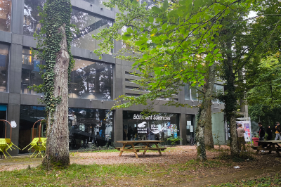 Faculty of Science & Technology