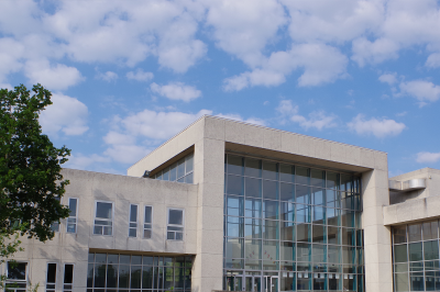 Faculty of Humanities & Social Sciences